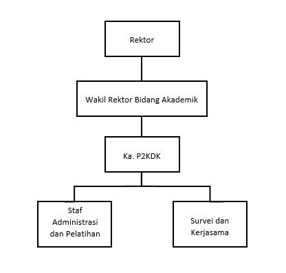Bagan struktur organisasi P2KPK Universitas Gajayana
